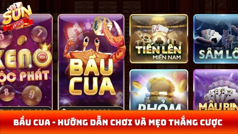 Bầu Cua - Hướng Dẫn Chơi Và Mẹo Thắng Cược Chi Tiết